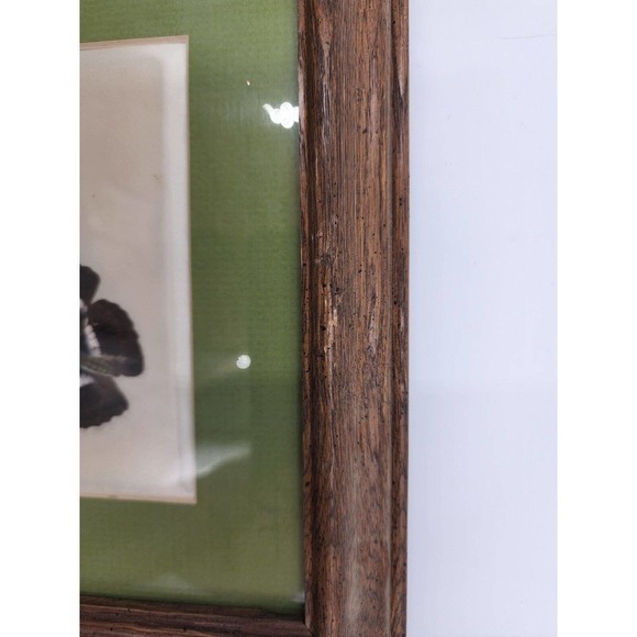 Vintage Pressed Flower Pictures By Elsie Kraft for Belart/Nature Incentives USA - Picture 8 of 11